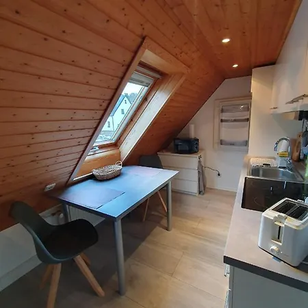 Ferienwohnung Haenel Antonshohe Exterior foto
