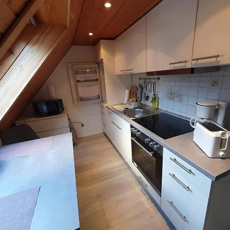Ferienwohnung Haenel Antonshohe Exterior foto